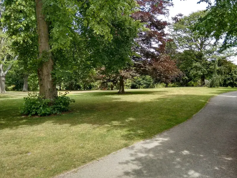 Gazon met wandelpad en oude bomen